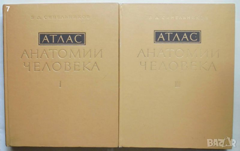 Книга Атлас анатомии человека. Том 1, 3 Р. Д. Синельников 1978 г. Анатомия на човека, снимка 1