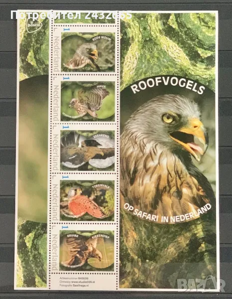 2492. Нидерландия 2024 = “ Фауна. На сафари в Холандия : Хищни птици.“, MNH, **, снимка 1