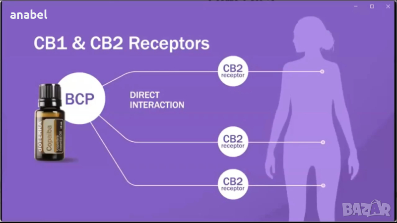 Етерични масла Medical grade 25% отстъпка, снимка 1