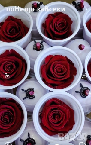 (НОВО) Вечна роза - вечна любов, снимка 4 - Декорация за дома - 53440618