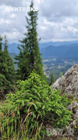 Индивидуални уроци по математика Пловдив