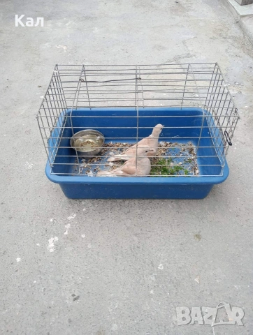 Скумруци, снимка 2 - други­ - 53838435