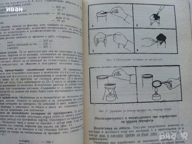 Изработване на саморъчни пособия по биология - Т.Митева - 1967г., снимка 5 - Специализирана литература - 46263937