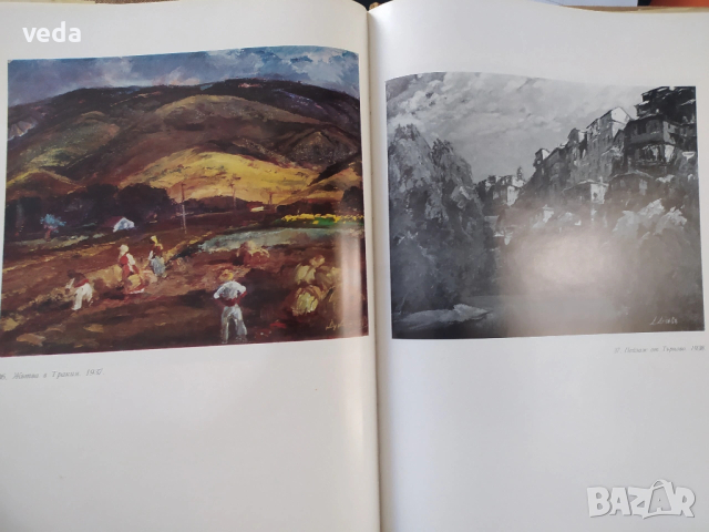 ДАНАИЛ ДЕЧЕВ, авт. Богомил Райнов, изд. 1972 г., снимка 3 - Специализирана литература - 53164190