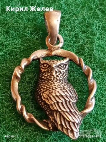 Модерен дизайн сребърна висулка БУХАЛ в ВЕНЕЦ символизира мъдрост и знание 52544, снимка 2 - Колиета, медальони, синджири - 52934443