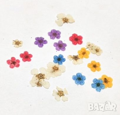 4 вида ситни сухи цветя маргаритки цветчета в кутия за декорация украса, снимка 8 - Изкуствени цветя - 41723170