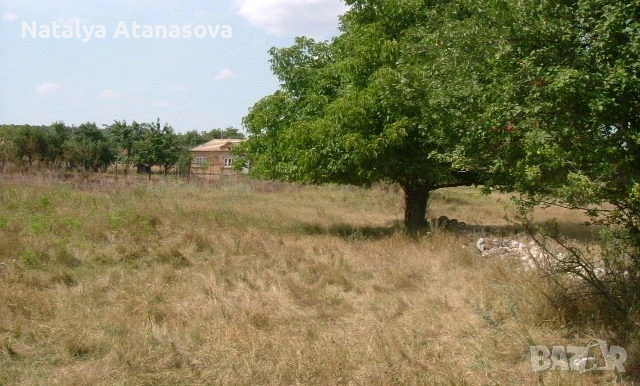 Парцел за продажба в Бдинци, Добрич, снимка 5 - Парцели - 53635006