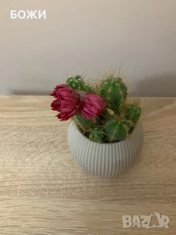 🔹 Оригинална лупа SWAROVSKI OPTIK – Vintage, Австрия, снимка 3 - Други ценни предмети - 53180023