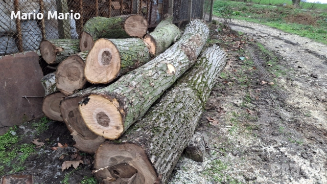 Орехова дървесина , снимка 5 - Други - 52591216