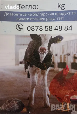 Калциев карбонат (креда) , снимка 3 - Други стоки за дома - 37088499