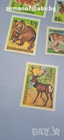 Марки Чекословакия  грешки, снимка 2 - Филателия - 52569591