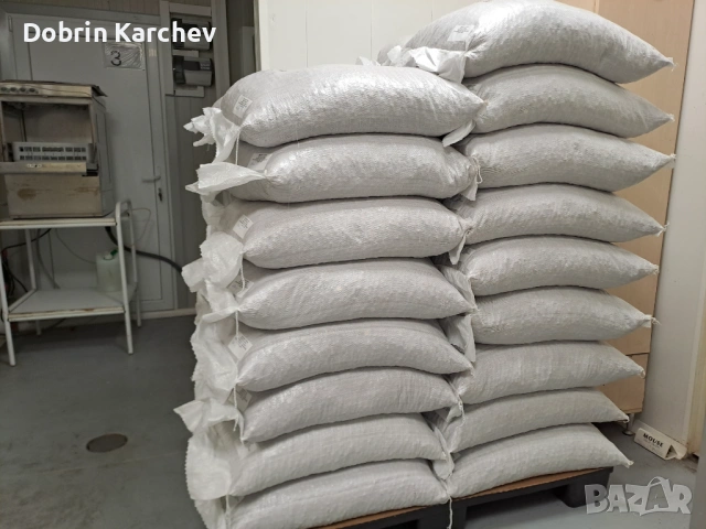 Лешник ядка, снимка 4 - Други - 53762541