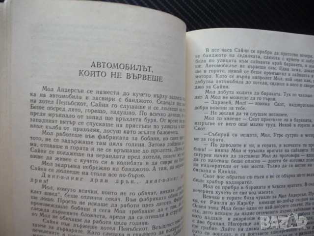 Муха в ковчега Ърскин Колдуел книги за 1 лев изгодни цени евтини романи проза, снимка 2 - Художествена литература - 50962050
