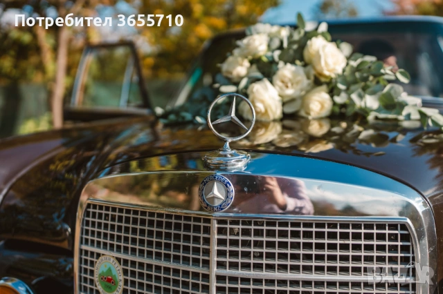 Ретро автомобил поднаем , снимка 5 - Транспорт под наем - 54061572