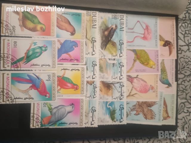 Класьор с марки, снимка 8 - Филателия - 53253096