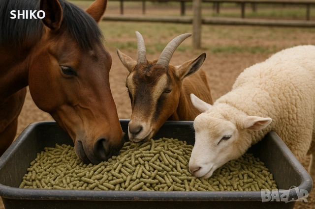 Гранулирана люцерна, снимка 4 - За селскостопански - 46612907