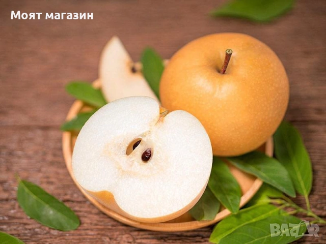 Азиатска круша Наши (Pyrus pyrifolia) 