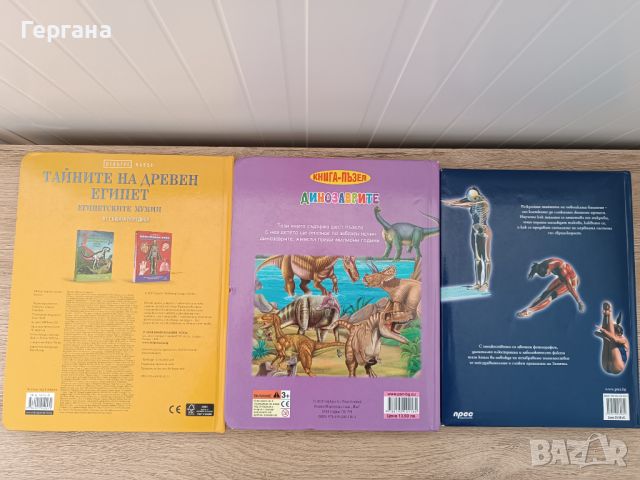 Енциклопедия Човешкото тяло, Тайните на древен Египет, Динозаврите - книга с пъзели, снимка 2 - Детски книжки - 45629871