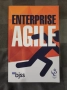 Enterprise Agile, снимка 1