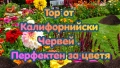🌸 Тор от Калифорнийски Червей – перфектен за цветя, снимка 1