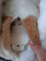 Интерактивно пони Baby Butterscotch FurReal Fpriends Hasbro , снимка 7