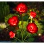 Градинска соларна лампа - роза, снимка 1