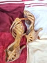 Обувки за танци /Latin dance shoes, снимка 5