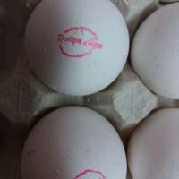 Комплекс за маркиране MARK EGGS HP-120, снимка 2 - Друго търговско оборудване - 45326309