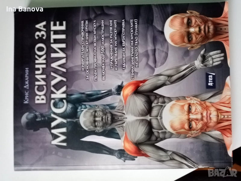 Анатомия на човешкото тяло- Всичко за мускулите, снимка 1