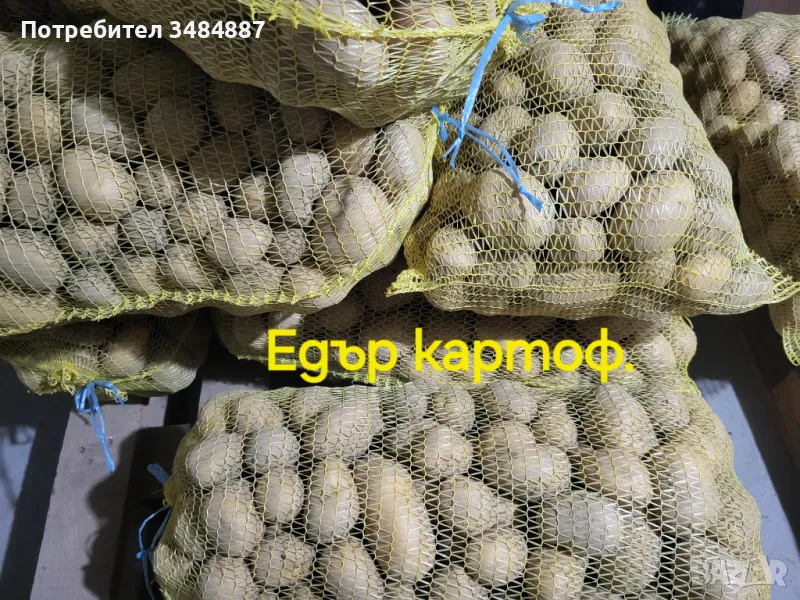 Продавам картоф за ядене, чипс и за животни., снимка 1