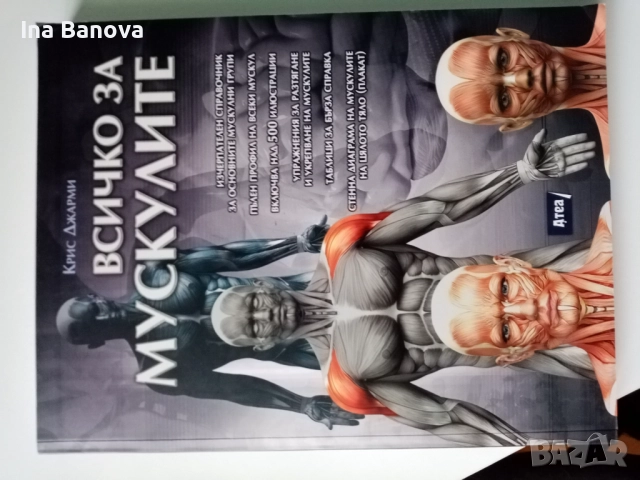 Анатомия на човешкото тяло- Всичко за мускулите