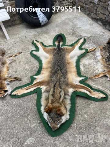 Кожа    от вълк 