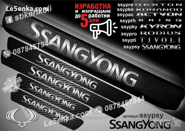 ПРАГОВЕ карбон SsangYong Rodius фолио стикери ssypro, снимка 7 - Аксесоари и консумативи - 43510642