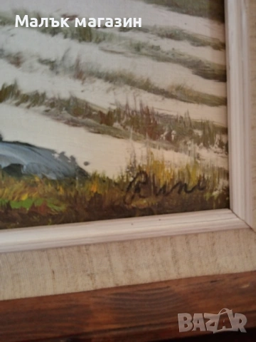 Картина с масло, подписана без забележки, снимка 6 - Картини - 54217415