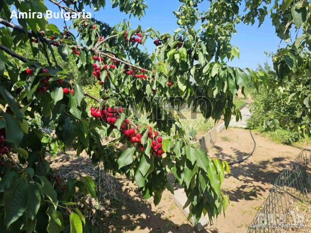 Къща с красива панорама и голям двор, снимка 8 - Къщи - 51757090