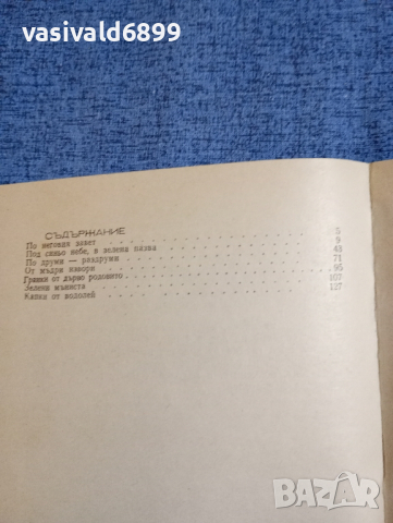 Стефан Станчев - Дневник в зелено и синьо , снимка 8 - Българска литература - 45038896