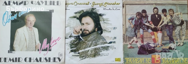 Дългосвирещи грамофонни плочи, снимка 11 - Грамофонни плочи - 50421166