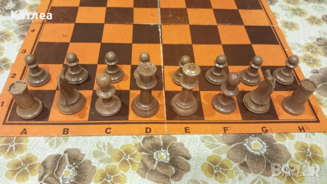 Шах, снимка 2 - Шах и табла - 53638915