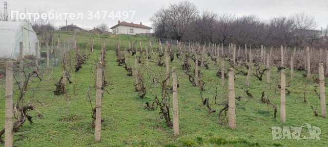 Продава къща, с.Айдемир, обл.Силистра, снимка 7 - Къщи - 53085378