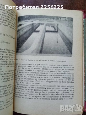 Справочник по рибовъдство, снимка 5 - Специализирана литература - 50501855