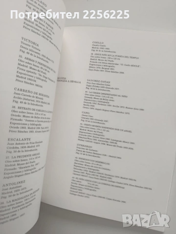Златният век на испанската живопис, снимка 2 - Специализирана литература - 53934855