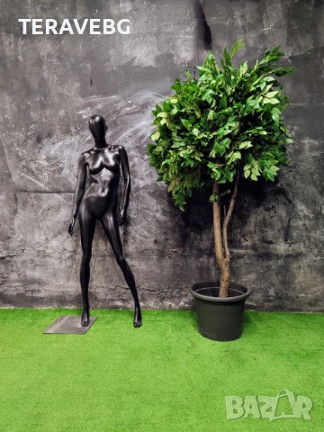 Декоративни дървета , снимка 16 - Изкуствени цветя - 50801494