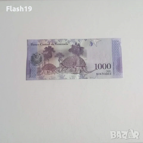 ⭐ Венецуела 1000 боливара 2017 г. AU ⭐, снимка 2 - Нумизматика и бонистика - 53729271