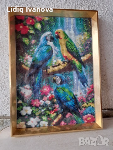 Диамантен гоблен папагали-готов и рамкиран, снимка 3 - Гоблени - 51016734