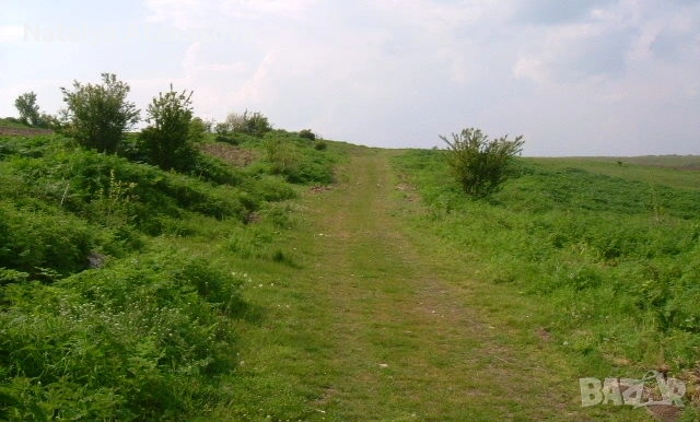 Парцел за продажба в Дряновец, област Добрич, снимка 5 - Парцели - 53656570