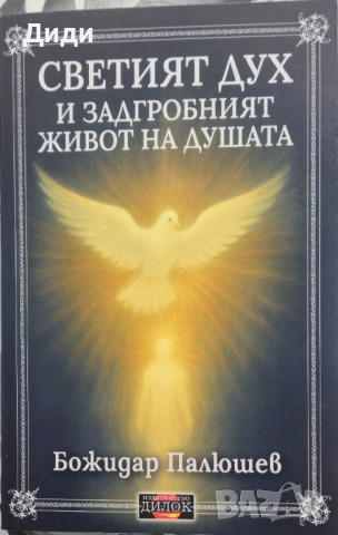 Божидар Палюшев - Светият дух и задгробният живот на душата