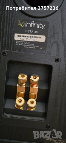 Тонколони Infinity Beta 40, снимка 10 - Тонколони - 54187505