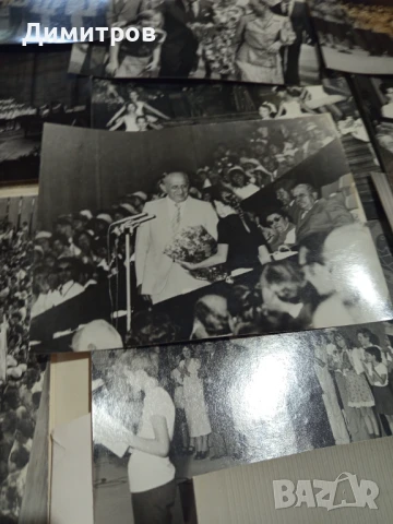 Стари снимки от асамблеята знаме на мира от 1979г