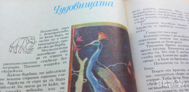 Индийски приказки Подбрани случки из старинния индийски епос Махабхарата Сборник, снимка 9 - Детски книжки - 46660789