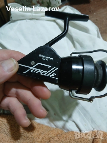 Форел.Гдр Джермина.